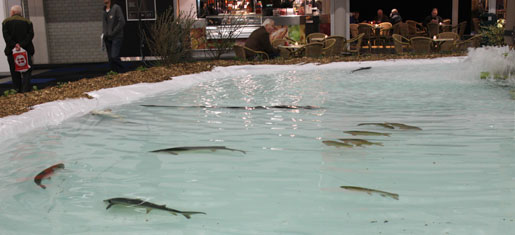 Visma 2011 - Vijver met vissen